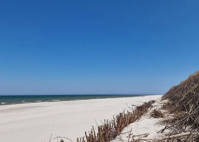 فندق مبيت وإفطار Zacisze 4*